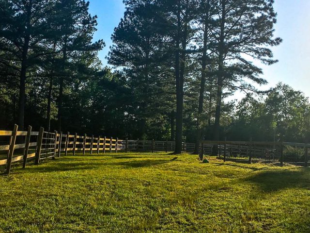 Charming Farm Stays Near Durham: A Rural Retreat