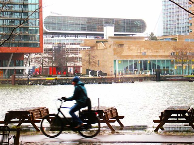 Experience Rotterdam’s Cycling Culture: The Best Places to Rent Bikes